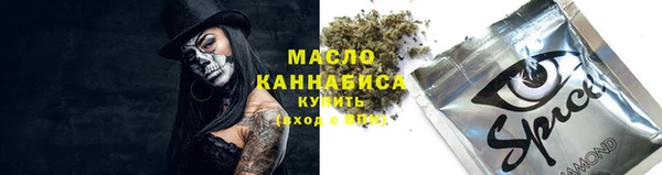 прущий лед Вяземский