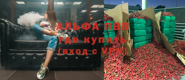 тгк Новодвинск