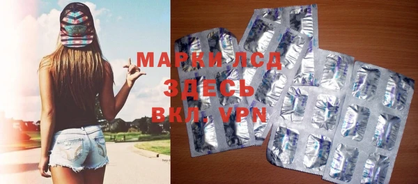 прущий лед Вяземский