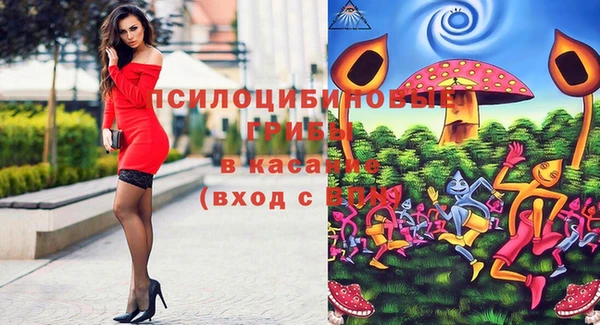 прущий лед Вяземский