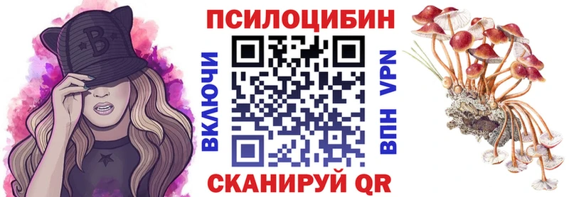 закладки  Павловск  Галлюциногенные грибы мицелий 